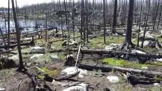 Fire Zone   BWCA  USA 2013 2015