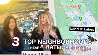 Land O Lakes FL neighborhoods | 3 top neighborhoods near A-rated Sunlake High School