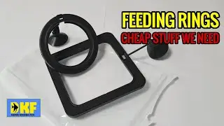 FEEDING RINGS - Cheap Stuff We Need