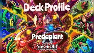 Yu-gi-oh! Deck Profile - Predaplant 2022