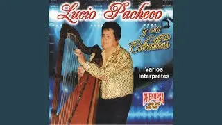 Desde Pampacocha