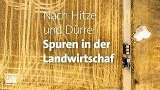 #fragBR24💡: Nach Hitze und D&uuml;rre: Spuren in der Landwirtschaft | BR24