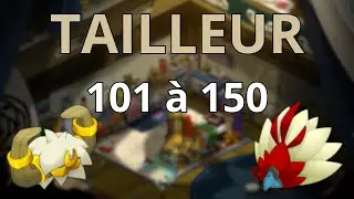 Brisage tailleur 101 - 150 sur chaque serveur classique - Dofus Unity - HumaGo