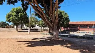 Conheça um lugar  simples  mas com pessoas maravilhosas  no interior de Goiás GAMELEIRA#viralvideo