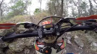 Team Wanker Croom Shit Show
