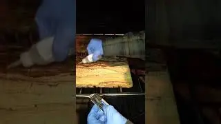 Spalted maple stabilizing