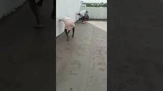 Amazing Roof Flooring Work  Ideas using MSand and Cement