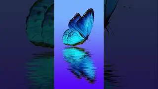 Adobe Photoshop Tips and Tricks Create water Reflection Effect #gocreative #photoshoptutorial