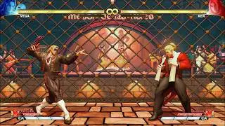 Street Fighter V - Vega Bloody Garden EX Special Move