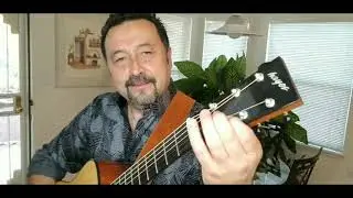 Radio Hula (E. Alohikea) On a Custom Hayes Dreadnought Guitar