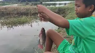 Perdana kolam bg Andi tgl 1/2/2026 tkt 100 RB jam 5 pagi kpum 
