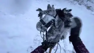 Hobby Horse eventing | Spotnic | *go pro* (not my day)