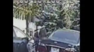 Brooklyn Park Police Brutality Case