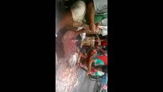 Incredible Fish Cutting Worker In Fish Market-Most Fastest Fish Cutters