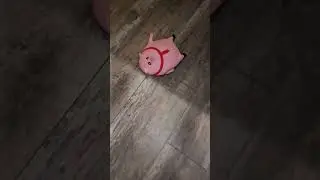 New Squishy Pig Toy!
