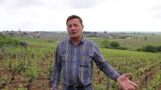 Dominic Lafon talks terroir  Part one: Meursault, Les Bouch&egrave;res