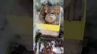 Feeding the bees 🐝 sugar cane sugar