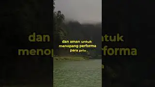 Solusi Pria Gagah Perkasa