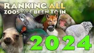 🐘 Ranking ALL 18 Zoos I've Been To This Year!