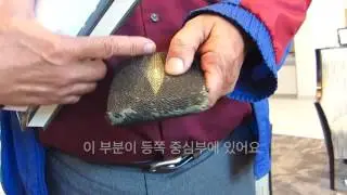 Stingray Leather Wallet / 가오리 가죽지갑 이렇게 생겼데요