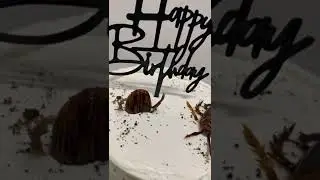 Cake cockroach by Natasha #lipascake #cakecockroach #cake