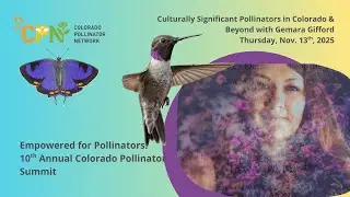 Culturally Significant Pollinators in Colorado & Beyond with Gemara Gifford