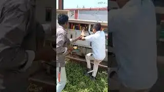 Distribution Box mein Phansi Billi # @ElectricalWork-e1z #viral # viralpost
