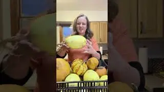 Steak Alfredo Spaghetti Squash