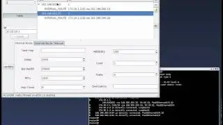 EiGRP Route Injection using Loki