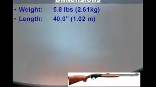 Remington Rifle - Remington 552 BDL Speedmaster&nbsp;Autoloading&nbsp;Rifle