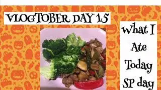 Vlogtober Day 15 | Slimming World | SP Day What I Ate Today