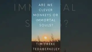 Are We Clever Monkeys or Immortal Souls? Tim Freke #tedtalk #evolution #timfreke #soul #biglove