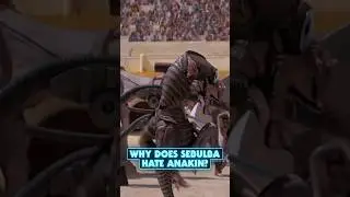 Why Did Sebulba Hate Anakin Skywalker?
