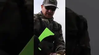 BIGGEST SECRET to DUNGENESS CRABBING LIMITS!!! #shorts #fishing #crabbing #crab #fish