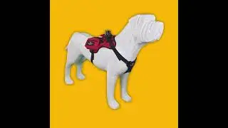 Smart vest for Rescue dogs ⛑️ color Red