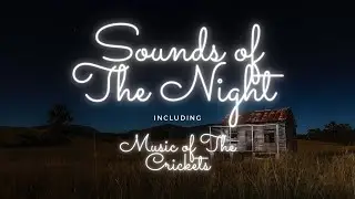 Sounds of The Night | Country Nighttime & Cricket Ambience | Sleep & Relax