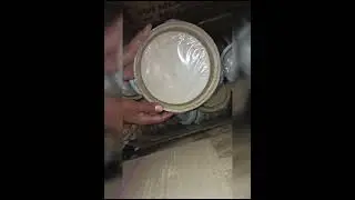 Very beautiful disposable plates
