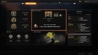 Call of Duty Black Ops 4 - blackout solo win 17/10/2020