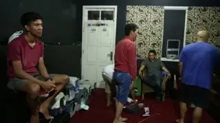 Cara Memotret Kucing yang benar