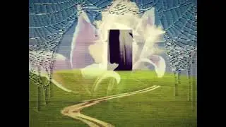 your face in the window (cover lyric video)