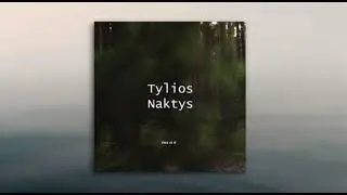 Tylios naktys - Nepažįstamieji (feat. Gabrielė Vilkickytė)