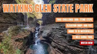 Watkins Glen State Park Gorge Trail | Walking Through the Crown Jewel of the Finger Lakes