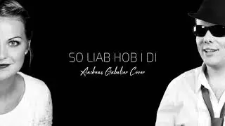So liab hob i di | Tanja Petrasek & Dino Banjanovic