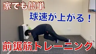 ポイントは「肩甲骨の固定」球速をアップする前鋸筋トレーニング｜野球肩野球肘　ピッチングなら　MORIピッチングラボ