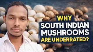 Why South Indian Mushrooms Are Underrated 🍄Market knows button mushrooms