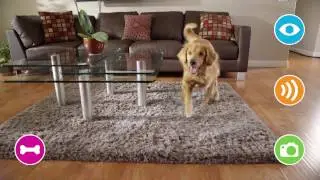 Petzi Treat Cam  - WiFi Pet Camera & Treat Dispenser