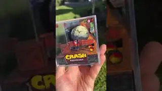 Crash Bandicoot Diorama.