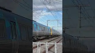 EDI Comeng train near Bonbeach Station #metrotrains #comeng #metrotrainsmelbourne