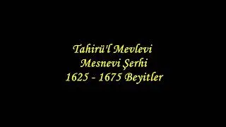 Tahirü'l Mevlevi Mesnevi Şerhi 1625 - 1675 Beyitler