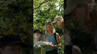 Wild Woman - Rewilding in the Ardennes